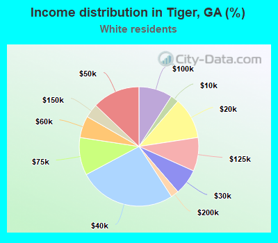 Income distribution in Tiger, GA (%)