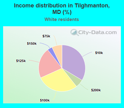 Income distribution in Tilghmanton, MD (%)