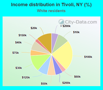Income distribution in Tivoli, NY (%)
