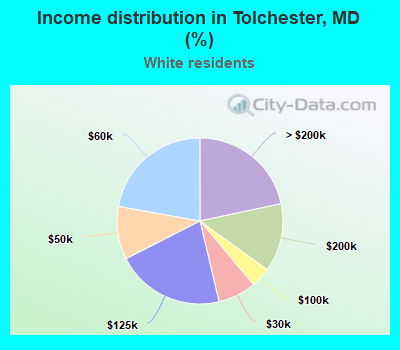 Income distribution in Tolchester, MD (%)