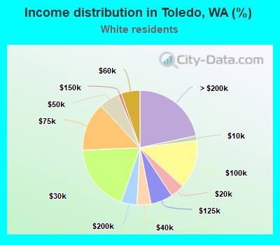 Income distribution in Toledo, WA (%)