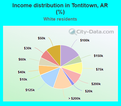 Income distribution in Tontitown, AR (%)