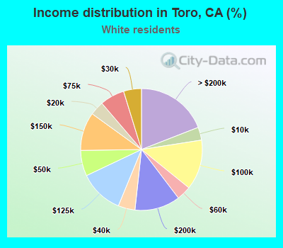 Income distribution in Toro, CA (%)