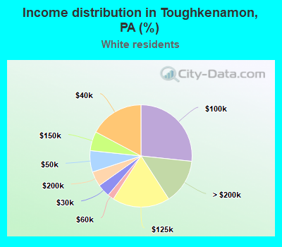 Income distribution in Toughkenamon, PA (%)