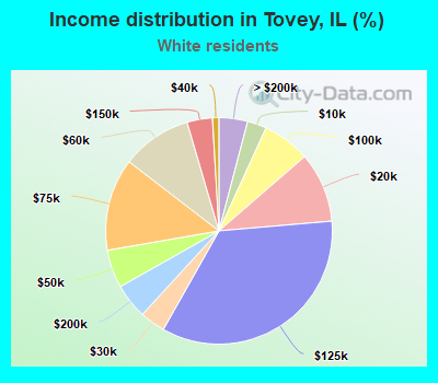 Income distribution in Tovey, IL (%)