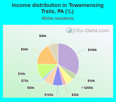 Income distribution in Towamensing Trails, PA (%)