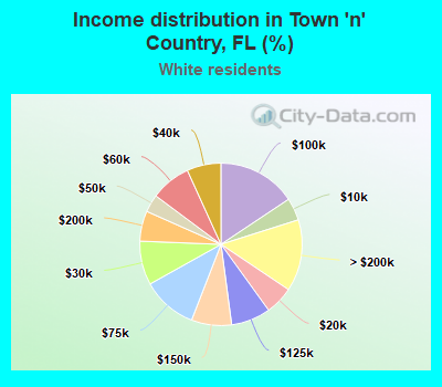 Income distribution in Town 'n' Country, FL (%)