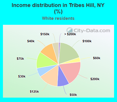 Income distribution in Tribes Hill, NY (%)
