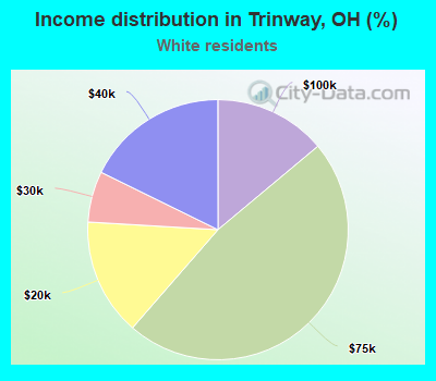 Income distribution in Trinway, OH (%)