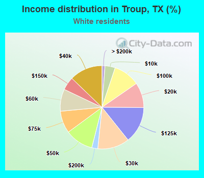 Income distribution in Troup, TX (%)
