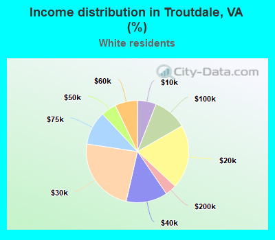 Income distribution in Troutdale, VA (%)