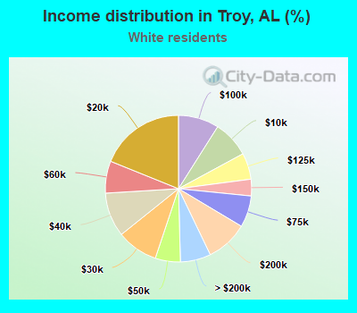 Income distribution in Troy, AL (%)