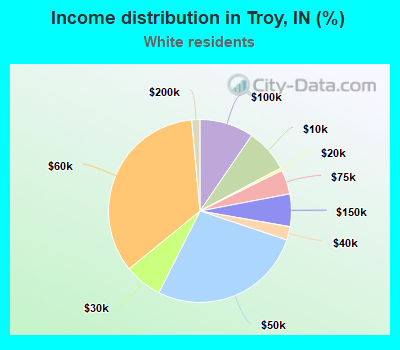 Income distribution in Troy, IN (%)