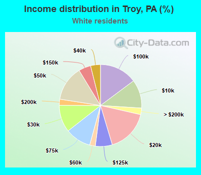 Income distribution in Troy, PA (%)