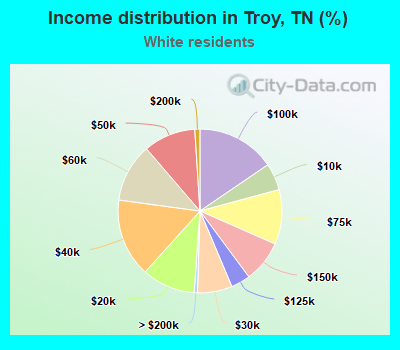 Income distribution in Troy, TN (%)