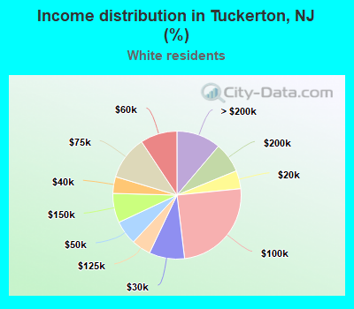 Income distribution in Tuckerton, NJ (%)