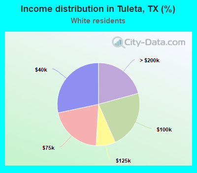 Income distribution in Tuleta, TX (%)