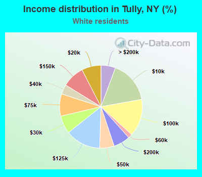 Income distribution in Tully, NY (%)