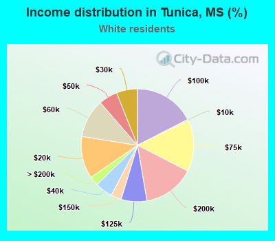 Income distribution in Tunica, MS (%)