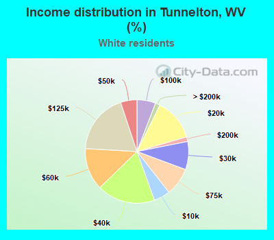 Income distribution in Tunnelton, WV (%)