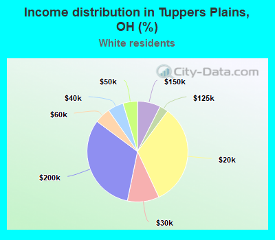 Income distribution in Tuppers Plains, OH (%)