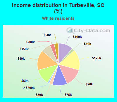 Income distribution in Turbeville, SC (%)