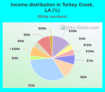 Income distribution in Turkey Creek, LA (%)