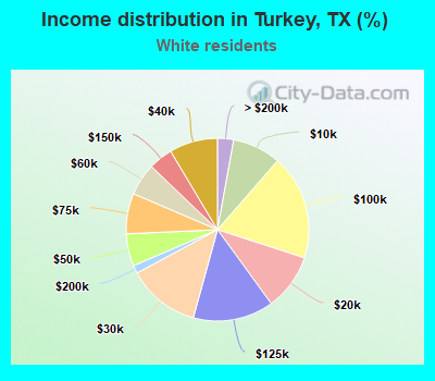Income distribution in Turkey, TX (%)