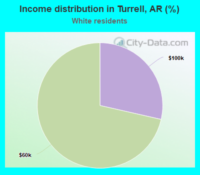 Income distribution in Turrell, AR (%)