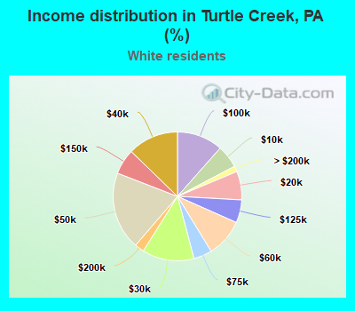 Income distribution in Turtle Creek, PA (%)
