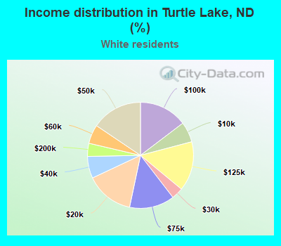 Income distribution in Turtle Lake, ND (%)