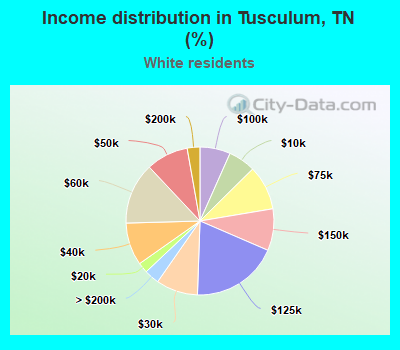 Income distribution in Tusculum, TN (%)