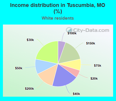 Income distribution in Tuscumbia, MO (%)