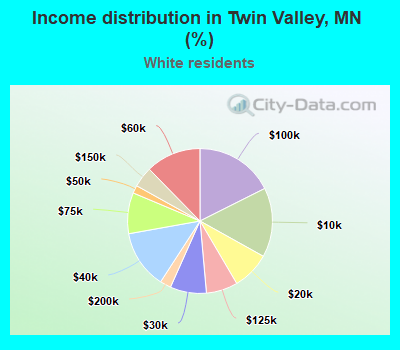 Income distribution in Twin Valley, MN (%)
