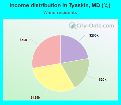 Income distribution in Tyaskin, MD (%)