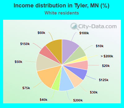 Income distribution in Tyler, MN (%)