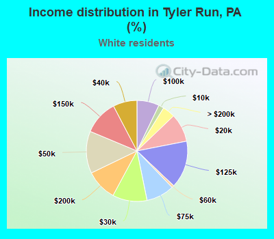 Income distribution in Tyler Run, PA (%)