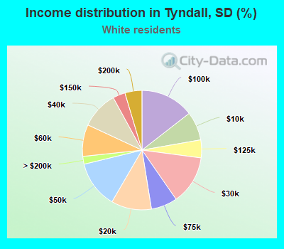 Income distribution in Tyndall, SD (%)