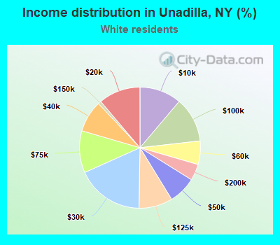 Income distribution in Unadilla, NY (%)