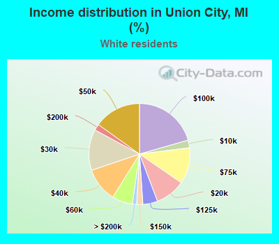 Income distribution in Union City, MI (%)