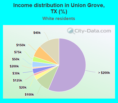 Income distribution in Union Grove, TX (%)