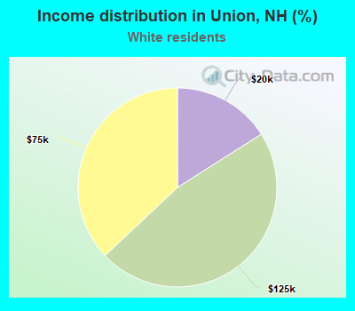 Income distribution in Union, NH (%)