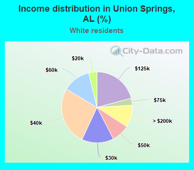 Income distribution in Union Springs, AL (%)