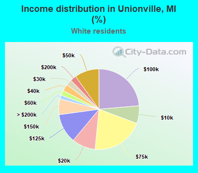 Income distribution in Unionville, MI (%)