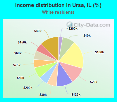Income distribution in Ursa, IL (%)
