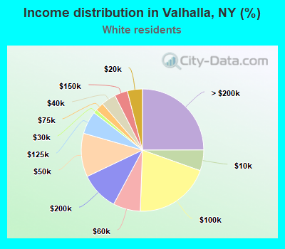 Income distribution in Valhalla, NY (%)