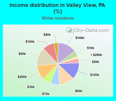 Income distribution in Valley View, PA (%)