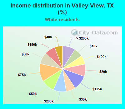 Income distribution in Valley View, TX (%)