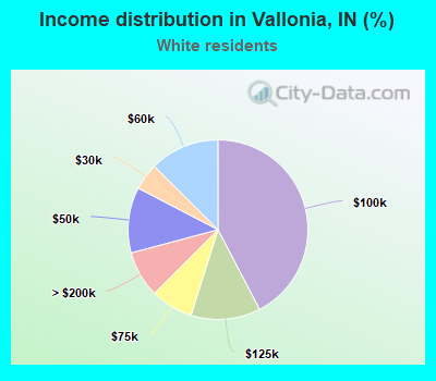 Income distribution in Vallonia, IN (%)