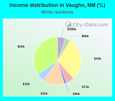 Income distribution in Vaughn, NM (%)